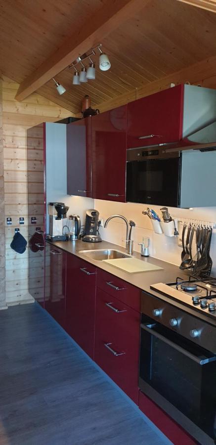 Prachtig Scandinavisch Chalet Makkum Extérieur photo